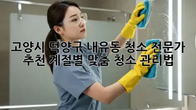 고양시 덕양구 내유동 청소 전문가 추천: 계절별 맞춤 청소 관리법